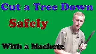 Cut a Tree Down Safely With a Machete [ Tips To Cutting a Tree With a Machete]