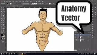 Human anatomy vector illustration from sketch with adobe illustrator pencil tool and brush tool.