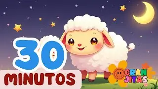 Lana la Ovejita 🐑 | Canciones Infantiles con Ritmo, Color y Alegr&iacute;a