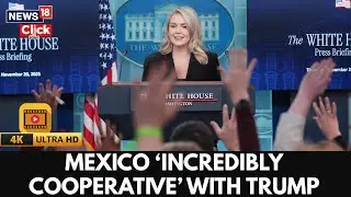 Mexico Is Incredibly Cooperative With Trump, Says Karoline Leavitt | US Mexico Relations | N18G