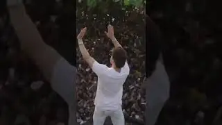 Mannat Crowd On Srk Birthday | Shahrukh Khan Meet With Fans On Birthday #srk #Birthday #mannat #fan