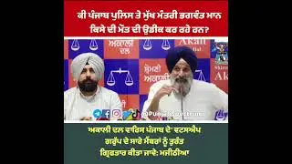 Bikram Majithia demands arrest of Waris Punjab De members over alleged plot of political killings
