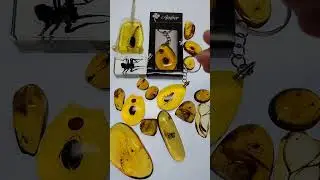 Как отличить настоящий янтарь от поддельного