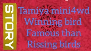 why  Tamiya mini4wd winning birds famous than rissing birds ? みに よんく ウイニングバード  vs ライジングバード
