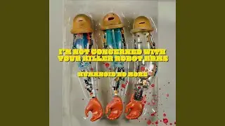 I'm Not Concerned with Your Killer Robot Arms
