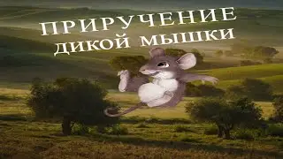 Полевка-Маленькая 