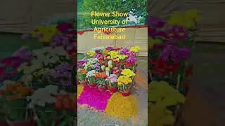 Flower 🌼🌹 Show University of Agriculture Faisalabad #uaf #flowershow2025