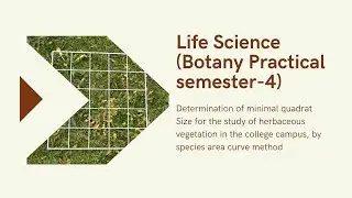 Minimal Quadrat Size | Species&ndash;Area Curve Method | BSc Life Sciences Botany Practical