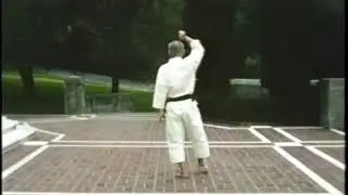 和道流　形　チントウ（Chint&ocirc;）