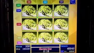 ビデオスロットで2,134,500枚のジャックポットが発生！【メダルゲーム】