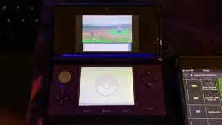 Pok&eacute;mon: Diamond, Pearl, and Platinum Version - Dual-Slot Modifier Cheats