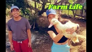 Exploring Farm Life in the Philippines : Fun with Ducks & Dancing with the Zumba Sisters