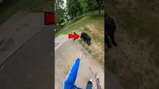 это должно быть незаконно😡