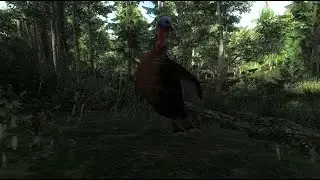 My BIGGEST Turkey EVER: The Hunter Classic Road To Top 1000 #31
