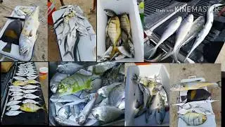 Saudi arabia fishing @ Salwa Qatar border