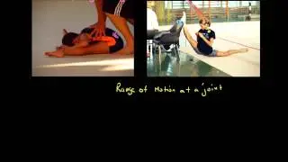 A2 PE - Flexibility Short