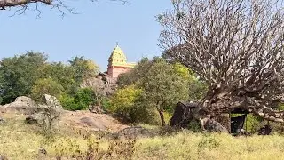 ರಂಗಯ್ಯನ ಗಿರಿ . ಶ್ರೀ ಲಕ್ಷ್ಮೀ ನರಸಿಂಹ ಸ್ವಾಮಿ ವಿಗ್ರಹ...