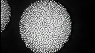 Real time Fractals
