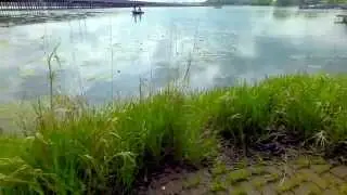 Wisconsin Bass Tournament Promo