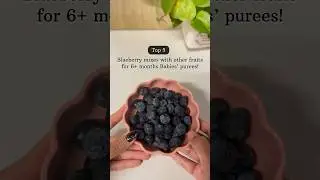 5 ways to give blueberries to 6+ months babies #blueberry #applepuree #babyfood #babyfoodrecipe