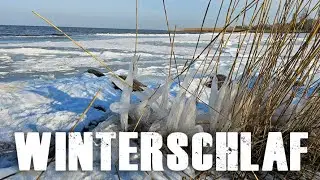 Ruhezeit und Regeneration: Die Boddenk&uuml;ste in Vorpommern-R&uuml;gen im Winterschlaf