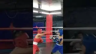 Sports@ mma,бокс,тай,Jeet Kune Do,бои без правил,Муай Тай, Grepling,греплинг,UFS,Kik boxing,Кик бокс