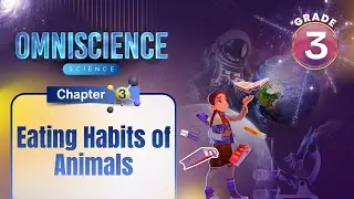 Eating Habits of Animals | Science Class 3 | Chapter 3 | IP Study