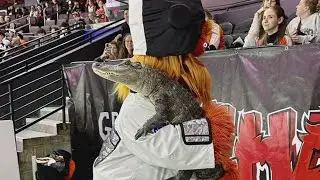 Gritty welcomes Wally Gator, the emotional support alligator, to Flyers game