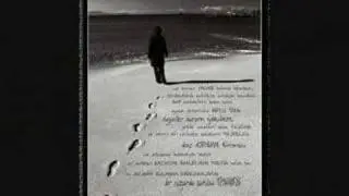 arap ali develoğlu