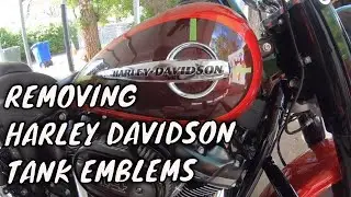 Удаление эмблем с бака Harley Davidson