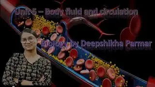 (part 12)formation of Lymph
