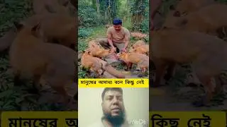 শিয়ালের জন্য ভালবাসা  #shorts #shortvideo #viralvideo #viralshorts #reels #tiktok #funny #trending