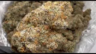 Goon Berries *Exotic AAA* THCA Pound! 