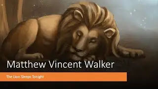 The Lion Sleeps Tonight (Matthew Vincent Walker)