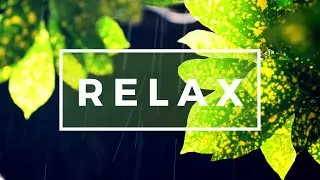 3 Hours of Relaxing Piano and Soft Rain Sounds ➤ Deep Sleep Music, Piano and Meditation 㝣 .002