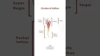 Saffron Grades| Get to Know Saffron #Saffron #goldensaffron #saffrontea