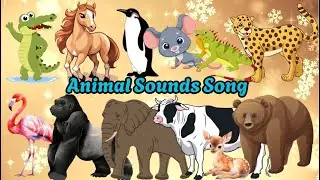 Animal Sounds Song |English songs for children|Study with your baby