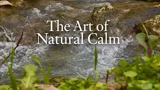 2 Hours of Mountain River Sounds | Cinematic Nature