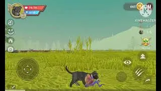 Wildcraft and yap part 5