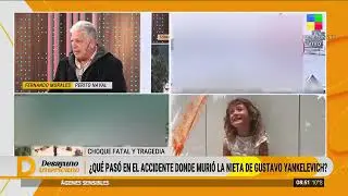 🔴 Perito naval analiza la muerte de Mila Yankelevich