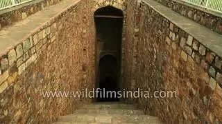 Old Fort in Delhi is the truly forgotten Purana Qila