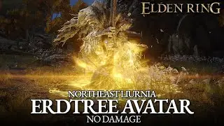 Erdtree Avatar Boss Fight (No Damage) - Northeast Liurnia [Elden Ring]