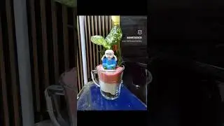 Miniature Garden  #art #garden #miniature #india #love #indoorplants