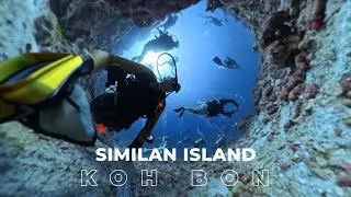 360 scuba dive video Similan islands group Dan 14 dive koh bon