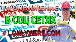 Zukul УПАЛ ! Сервис Onlywire в 10 раз дешевле Zukul и в 100 эффективней