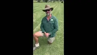 How Often to Water New Lawn: Essential New Turf Watering Schedule
