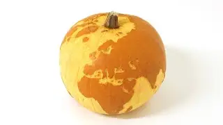 Planet Pumpkin decaying time lapse