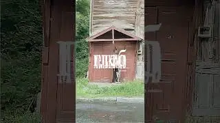 kастом шмот. За заказом в телеграм glebmelnikow #shorts   #дизайнер #custom #ghoul #viperr #diy