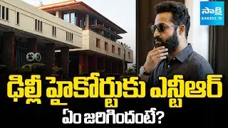 Jr NTR Approached Delhi High Court Over Violation of Personality Rights | Sakshi TV
