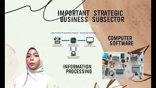 DEFINITION AND IMPACT OF SMEs - MAF253